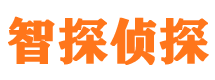 文水市侦探公司